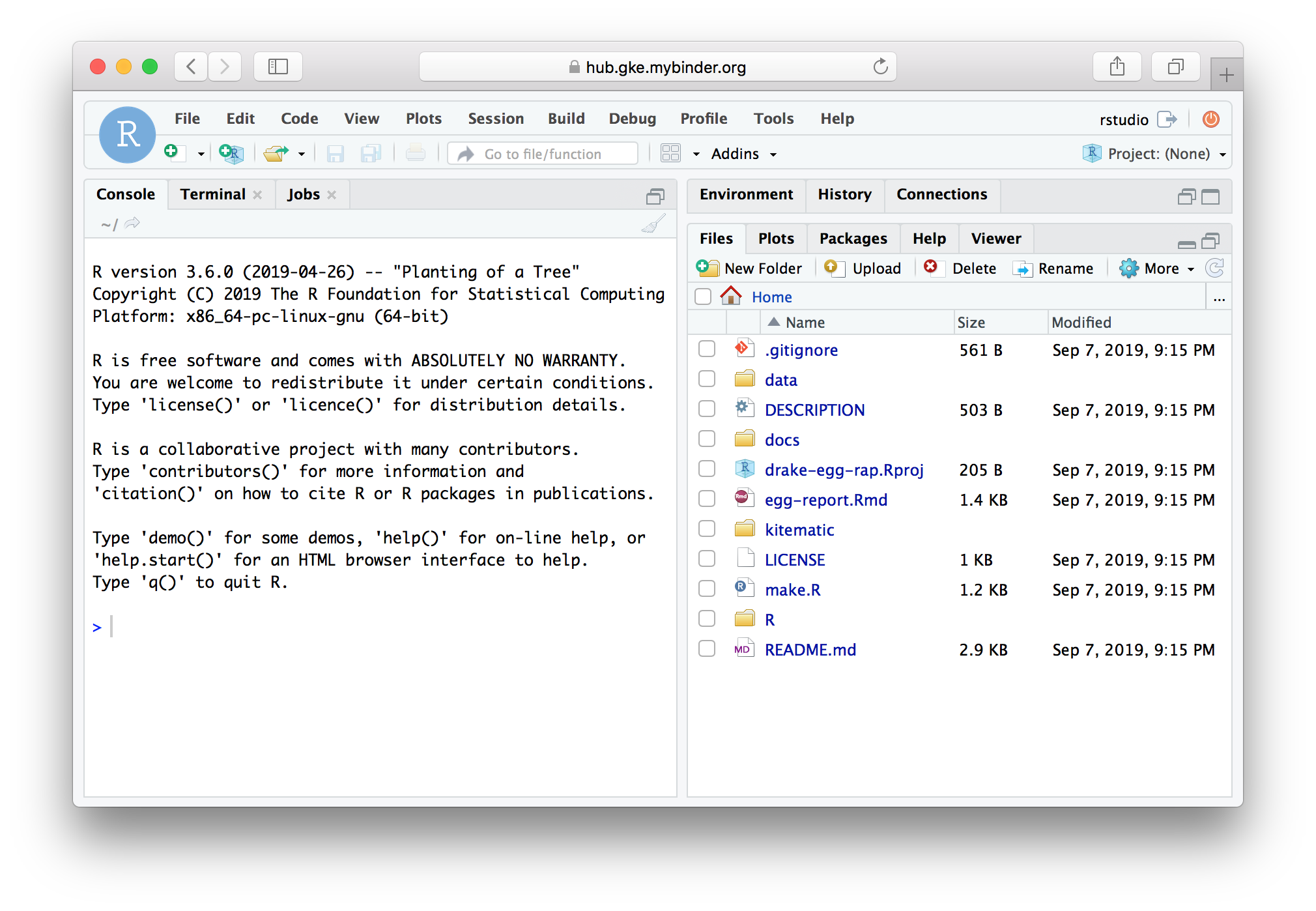 RStudio in a browser window, showing R's start-up text in the console pane and the contents of the home folder in the files pane.