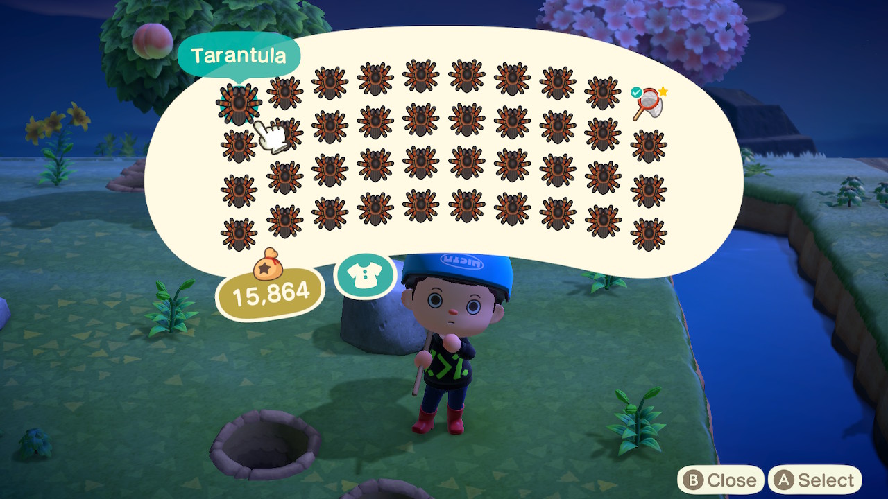 The pocket interface in Animal Crossing, showing all available space filled with tarantulas.