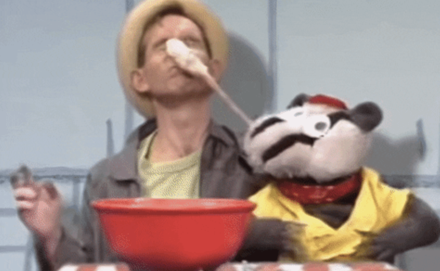 Badger from children's TV show Bodger & Badger making a mess with instant mashed potato.