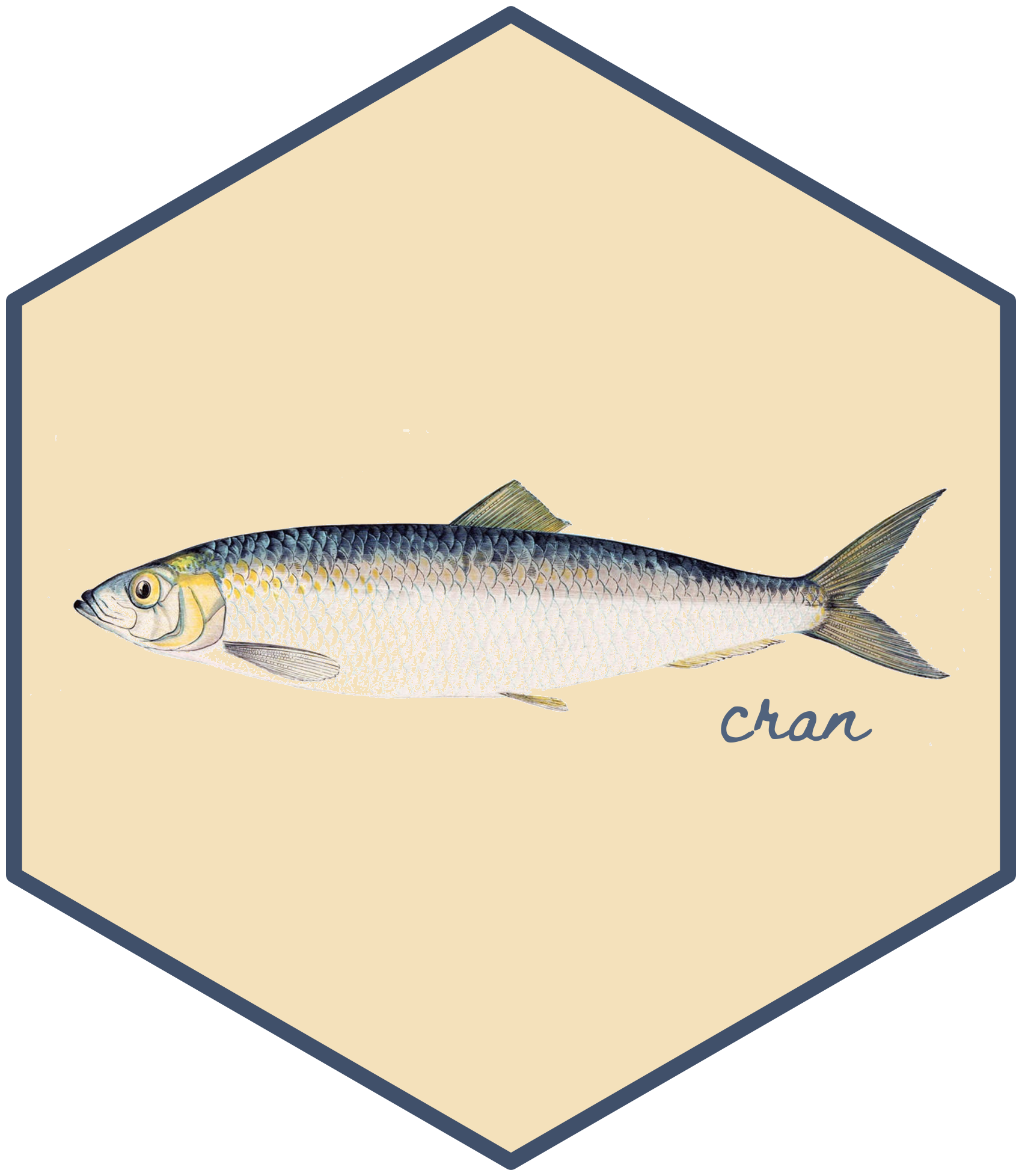 Hex sticker design with a picture of a herring and the word 'cran'.