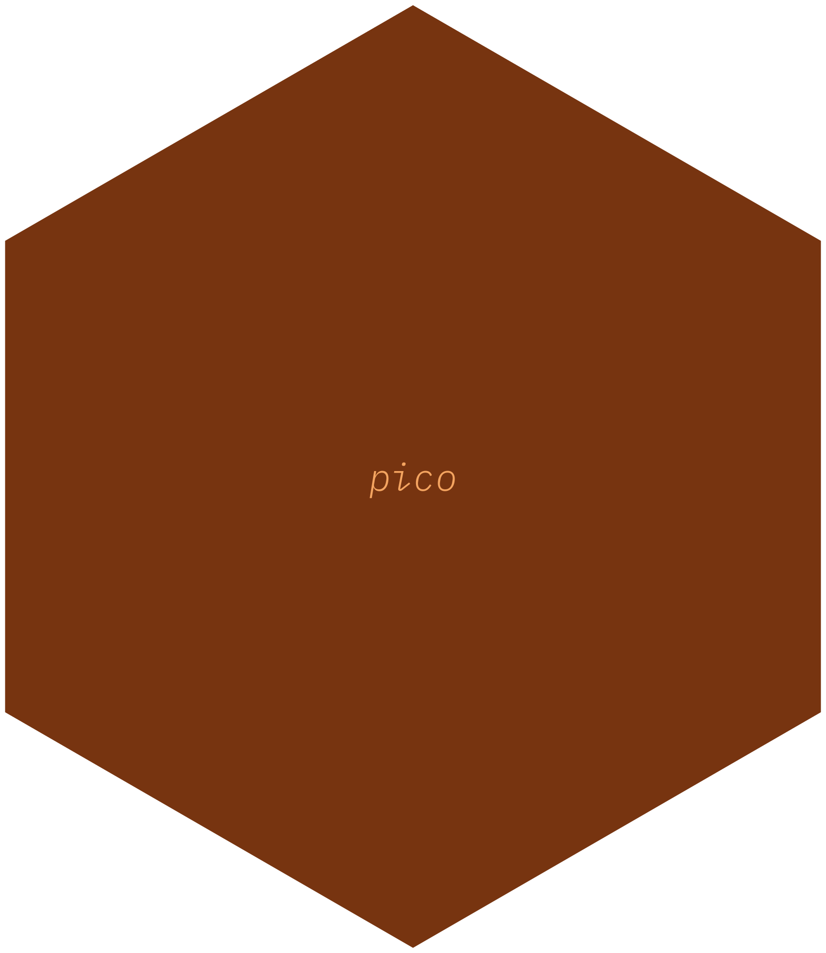 Hexagonal logo for the pico package with the package name in very small font in light brown on a darker brown background.