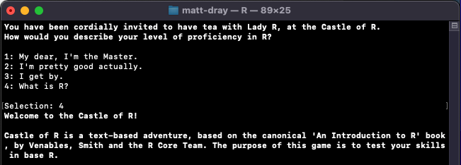 Screenshot of R running in the terminal. A text interface asks the user to identify their skill in R. The user has typed option '4', which corresponds to the text 'what is R?'. The resulting text says 'welcome to the Castle of R' and explains its purpose.