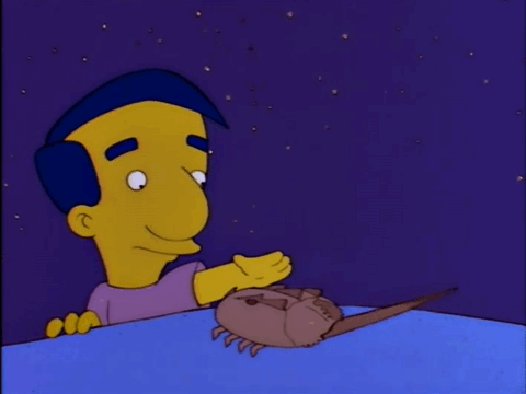 Milhouse from the Simpsons pats a happy horseshoe crab on the head. Milhouse is not wearig his glasses. He thinks the crab is a dog.