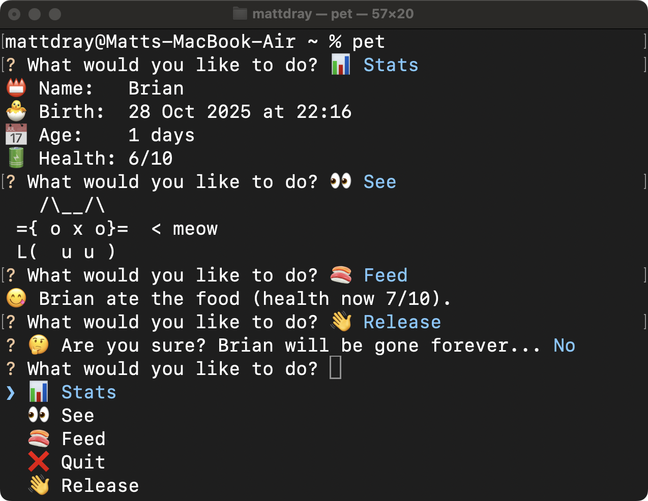 Screenshot of a terminal window. The command 'pet' has been run. The user is asked 'what would you like to do' and they respond 'stats', which returns the pet name, bith date, age in days and health status. The user chooses eom other options with different effects. Emoji are sprinkled throughout, like a battery for the 'health' status.